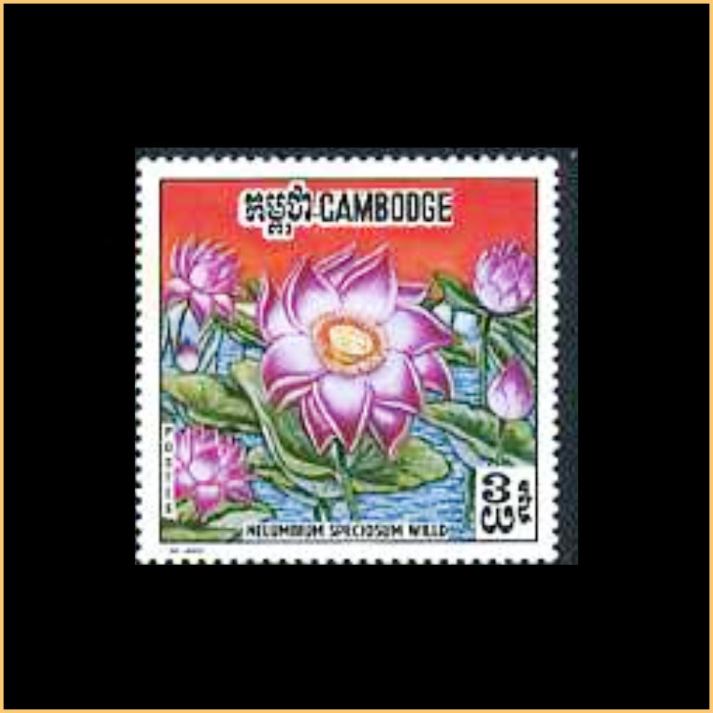 Cambodia_1_27