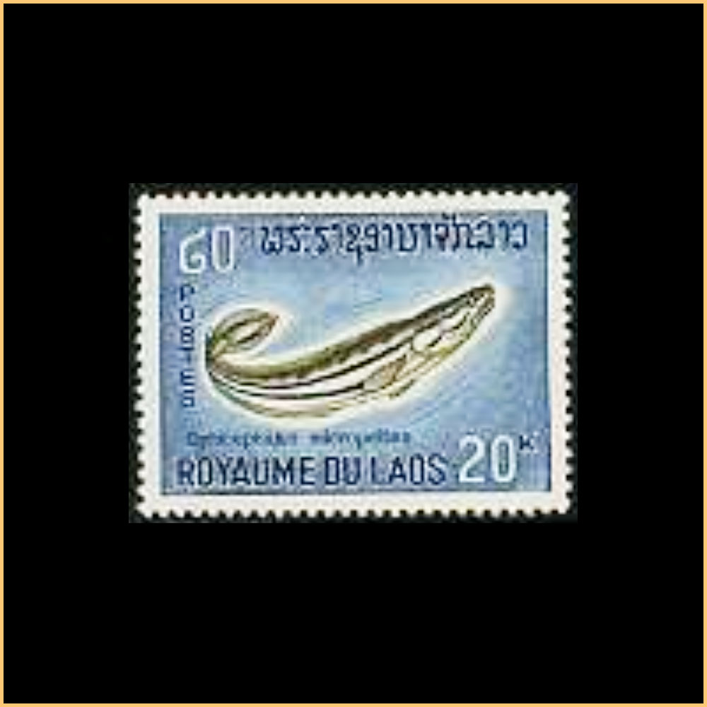 Laos_1_43