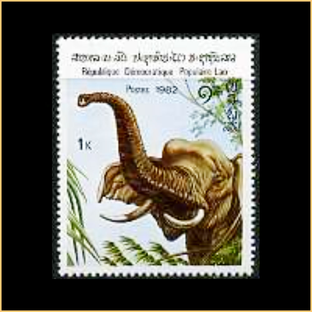 Laos_1_49