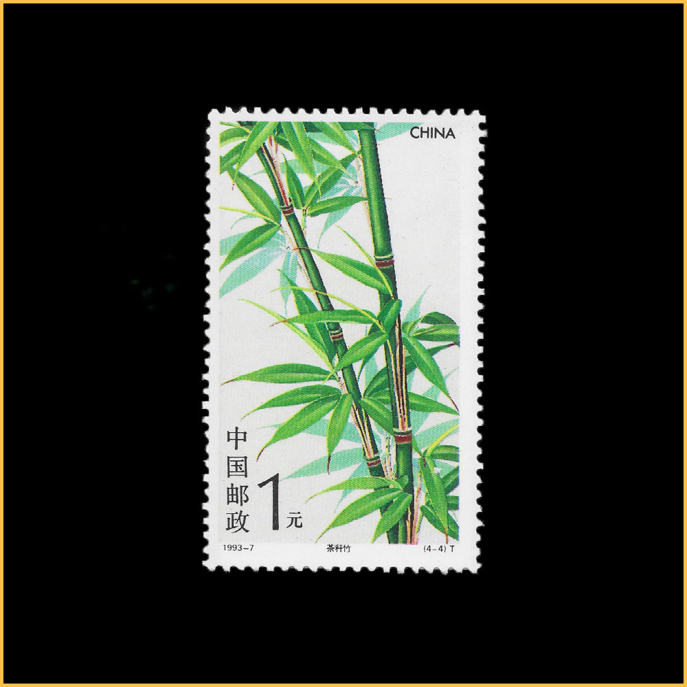金 镶 玉 竹