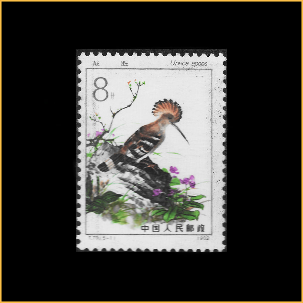 戴胜
