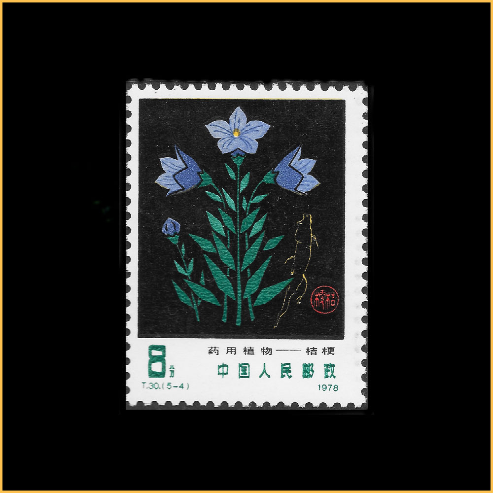 桔梗