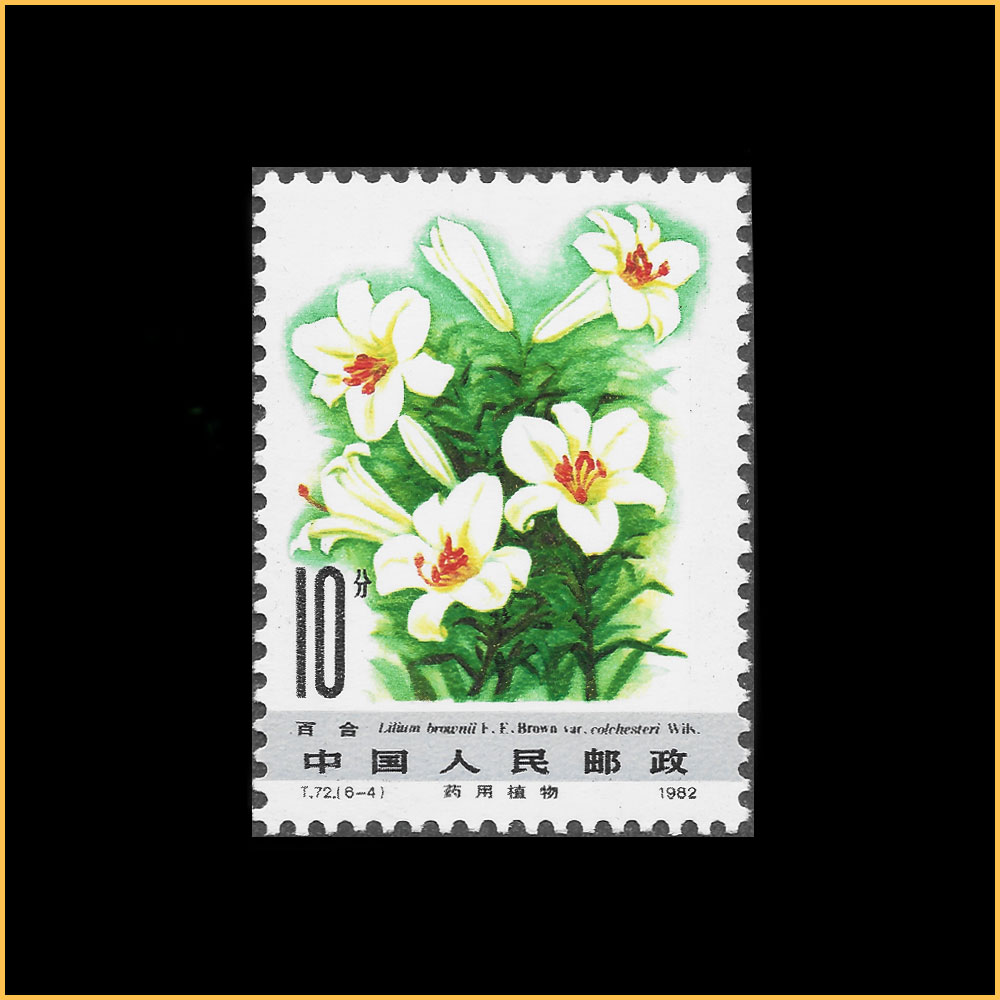 百合