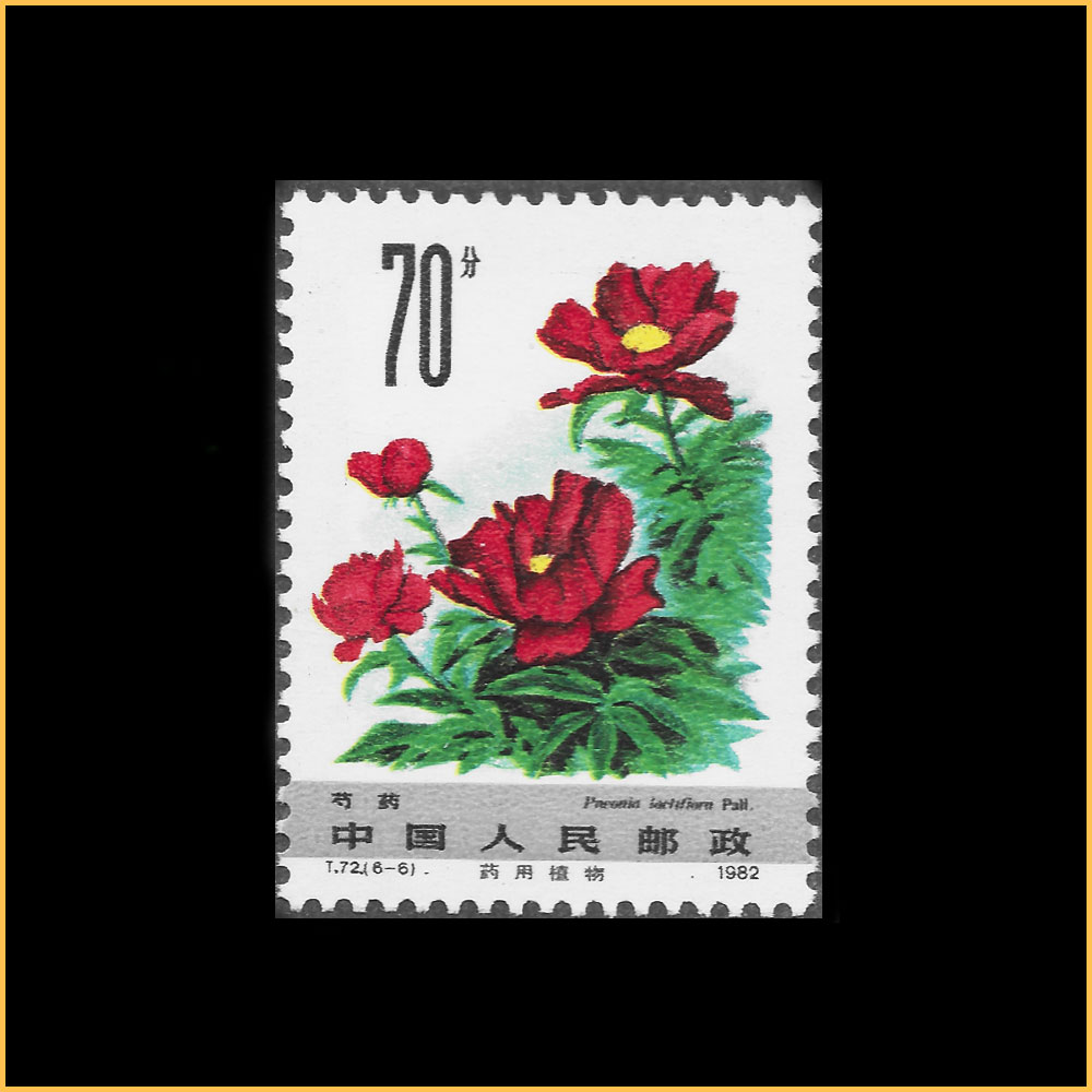 芍药