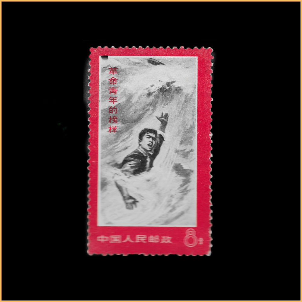 金训华是“文化大革命”期间一位到东北农村插队的知识青年，在1969年的一次特大洪水中，他为打捞被洪水卷走的电线杆而牺牲。新闻界对此进行了大量报道。